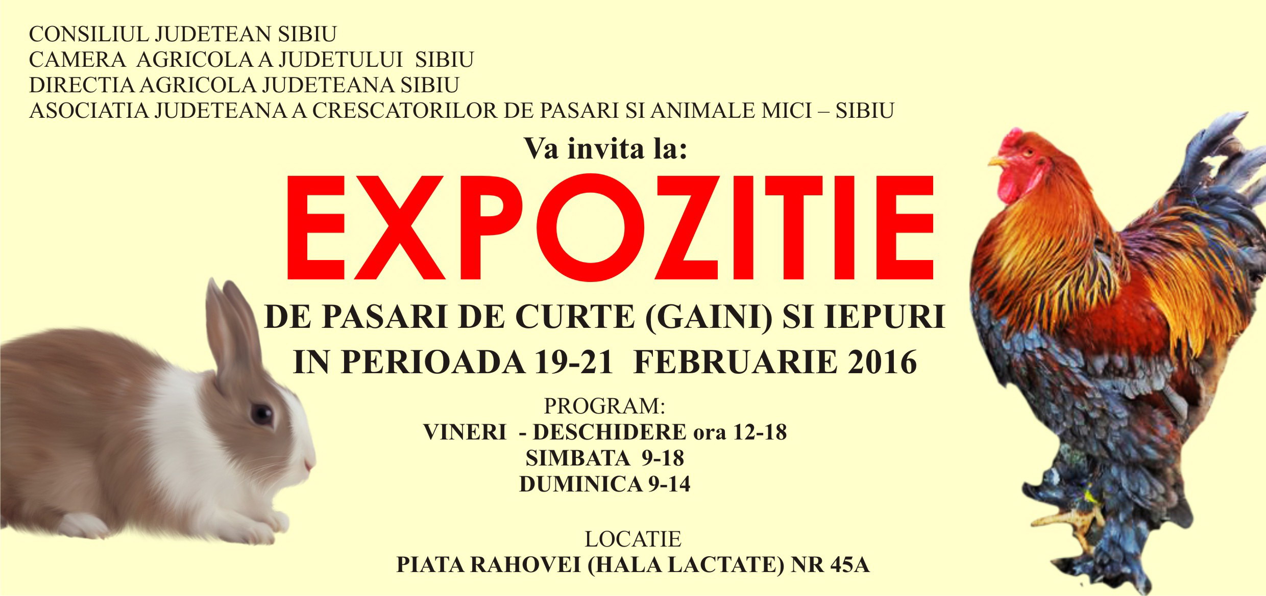 invitatie expo 2016